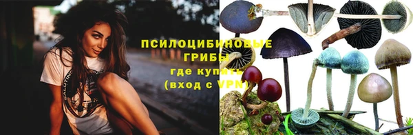 герыч Алексин