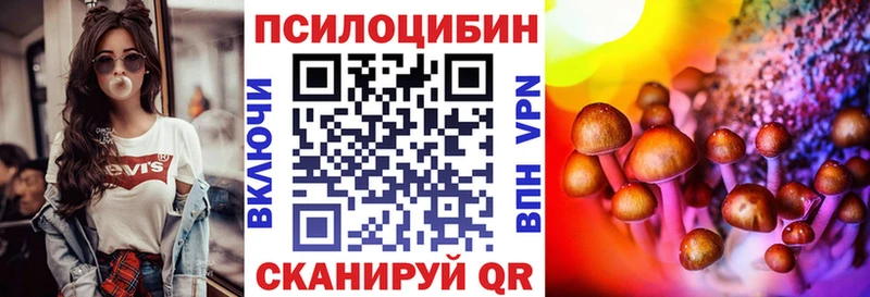 Галлюциногенные грибы Psilocybe  Новороссийск 